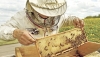 Δημιουργείται εργαστήριο  εφαρμοσμένης μελισσοκομίας