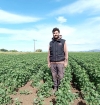 Ο Βησσαρίων Δρόσος  στο χωράφι του  με καλλιέργεια κινόα