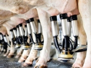 Μειώσεις στην τιμή  του αγελαδινού γάλακτος