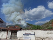 Φωτιά σε δάσος  της Τσαριτσάνης