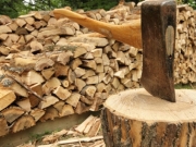 Φρένο στην υλοτόμηση δασών για καυσόξυλα