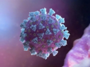 Πάνω από 464.000 νεκροί από τον ιό παγκοσμίως
