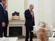 Ποιος Πούτιν...; Ο σκύλος του έκλεψε την παράσταση (ΒΙΝΤΕΟ)