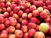 Δεσμεύτηκαν 5,1 τόνοι μήλα και αχλάδια
