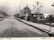 Ο κεντρικός δρόμος στο άλσος των Νυμφών (Αλκαζάρ). Περίπου 1947. Αρχείο Άννας Σερέτη-Πράττου.