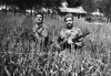 Ιούλιος του 1966, στη Νέα Βύσσα Έβρου.  Οι Λαρισαίοι Αθανάσιος Γιοβανούλης  και Δημήτριος Κωστίμπας