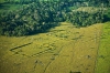 Εντοπίστηκαν 24 αρχαία χωματουργικά  έργα στον Αμαζόνιο