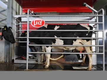 Ρομποτικό σύστημα μειώνει τον χρόνο αρμέγματος των αγελάδων