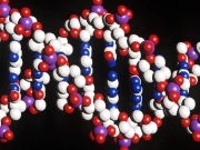Φορητό σύστημα «τσέπης» για την ανίχνευση DNA δημιούργησαν Κινέζοι