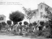 Μαθητές της Αβερωφείου Γεωργικής Σχολής με τους καθηγητές τους κατά τη διάρκεια πρακτικού μαθήματος στον υπαίθριο χώρο της. Φωτογραφία από επιστολικό δελτάριο του Fr. Caloutas, ταχυδρομημένο το 1919 από τη Λάρισα. Αρχείο Φωτοθήκης Λάρισας.