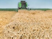 ΟΟΣΑ: Μειώστε ενισχύσεις – επιδοτήσεις κόστους παραγωγής στους αγρότες