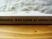 «Αγριμικά: Why Look At Animals?»