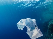 Το πλαστικό «σκοτώνει» τις θάλασσές μας