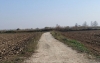 Οδοί πρόσβασης  σε αγροτικές  εκμεταλλεύσεις