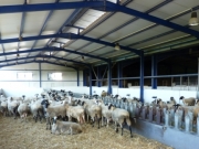 Έως τις 4 Δεκεμβρίου οι αιτήσεις νομιμοποίησης κτηνοτροφικών εγκαταστάσεων