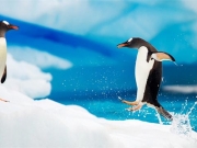 «Οαση ζωής» κάτω από τους πάγους  της Ανταρκτικής
