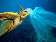 Το πλαστικό «πνίγει» τη Μεσόγειο...