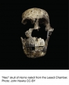 Βρήκαν απολιθώματα του Homo naledi