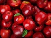 Γιατί δεν αποζημιώνονται οι μηλοπαραγωγοί Αγιάς