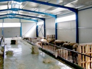 Ευκολότερη πρόσβαση  σε κτηνοτροφικές μονάδες στο Ζάρκο