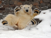 Πέθανε πλήρης ημερών ο Μένσικοφ, ο πολικός αρκούδος
