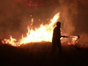 Το 84% των πυρκαγιών ξεκινούν από ανθρώπους, σύμφωνα με έρευνα