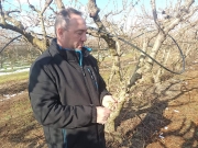 Ο πρόεδρος του Αγροτικού Συνεταιρισμού  «Γαία fruit» Δένδρων Τυρνάβου Χρήστος  Τασιούλας ανησυχεί για τις επιπτώσεις  του νέου παγετού στα δέντρα