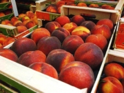Ενισχύονται Έλληνες παραγωγοί φρούτων που επλήγησαν από το ρωσικό εμπάργκο