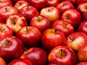 Διαβούλευση για το «Μήλο Αγιάς»