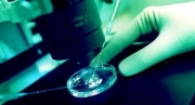 Επιστήμη: Βλαστικά κύτταρα μέσω κλωνοποίησης
