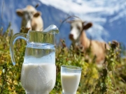 Δεν αύξησε τις εισαγωγές γάλακτος η αύξηση της διάρκειας ζωής του