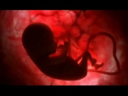 Προγεννητικός έλεγχος του εμβρύου με τη βοήθεια του τεστ Παπανικολάου