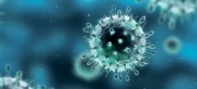 Βιολογία: Φιλικοί ιοί εναντίον εχθρικών βακτηρίων
