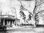 Λάρισα-Κήπος Αλκαζάρ. Επιστολικό δελτάριο άγνωστου εκδότη. Μέσα δεκαετίας του 1920. Αρχείο Φωτοθήκης Λάρισας