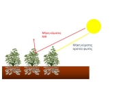 Αρχή λειτουργίας της τηλεπισκόπησης. Το ορατό ηλιακό φως απορροφάται από τα φυτά ενώ του κοντινό υπέρυθρο ανακλάται