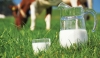 Σε ενεργούς αγελαδοτρόφους 39.000 τόνοι γάλακτος από το Εθνικό Απόθεμα