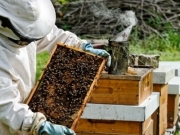 Κέντρο Μελισσοκομίας Λάρισας: Ένας νέος θεσμός στην πόλη μας
