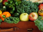Ρεκόρ στις εξαγωγές φρούτων και λαχανικών