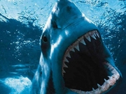 ΗΠΑ: Δύο παιδιά στα σαγόνια του καρχαρία