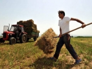 Μόνο σε κατ’ επάγγελμα αγρότες οι επιδοτήσεις μετά το 2020