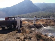 Ξεκίνησε η καταπολέμηση κουνουπιών στη Μαγνησία