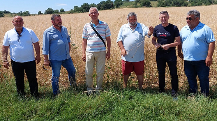 Αυτοψία στα χαλαζόπληκτα χωράφια στα Βούναινα πραγματοποίησαν  εκπρόσωποι του Δήμου Κιλελέρ, της Περιφέρειας και του ΕΛΓΑ 