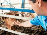Στα χωράφια… της κτηνοτροφίας μπαίνει η ΕΟΑΣΝΛ