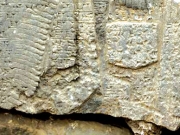Πέτρινη επιγραφή 1.100 ετών