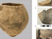 Aνακαλύφθηκαν τα αρχαιότερα ίχνη κρασιού