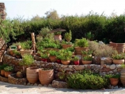 Εικόνα 1. Κήπος με τα αρωματικά φυτά.