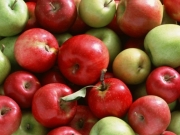 Ανακατανέμονται οι ποσότητες για τα φρούτα απόσυρσης