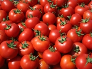 Δέσμευση 3 τόνων ντομάτας Πολωνίας χωρίς σήμανση
