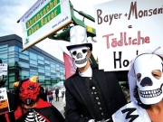 Η Bayer καταργεί την επωνυμία της Monsanto