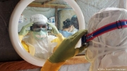 Ετοιμότητα Ελληνικών Υγειονομικών Αρχών για τον ιό ebola